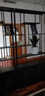 建唐工業(yè)風(fēng)鐵藝屏風(fēng)隔斷客廳玄關(guān)辦公室多層置物架收納儲物柜落地書(shū)架 200x25x200（長(cháng)度x深度x高度） 曬單實(shí)拍圖