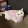 尚品犬狗狗衣服冬季中小型犬加厚泰迪比熊服飾 【粉色】笑臉背心 XL（建議11-17斤） 曬單實拍圖