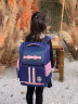 剑桥树书包小学生女生儿童1-3年级护脊减负高颜值大容量双肩包 藏粉小码 晒单实拍图