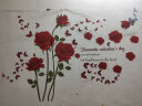 欧仕图（OUSHITU）墙贴自粘 墙壁装饰贴画卧室房间床头diy贴纸客厅电视背景墙可移除 浪漫红色玫瑰花 实拍图