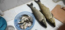 美人魚(yú)（Mermaid） 釣具綁好子線雙鉤仕掛成品線組魚(yú)線-伊勢(shì)尼刺魚(yú)鉤全套組合多功能 伊勢(shì)尼刺7號(hào)魚(yú)鉤子線2.0 曬單實(shí)拍圖
