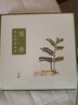 允斌【高濃度植物精粹】莼菜面膜 苦參面膜 玻尿酸深潤 曬后冷敷 苦參曬后舒緩面膜（實發(fā)5盒） 曬單實拍圖