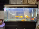博宇（BOYU）魚(yú)缸 水族箱 熱彎玻璃 40寬 上過(guò)濾家用客廳龍魚(yú)缸養水草金魚(yú)過(guò)濾 EA-100香檳黑魚(yú)缸整套(100*40*126) 曬單實(shí)拍圖