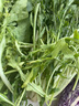 良鄰和優(yōu)  沙拉蔬菜 生吃沙拉青菜 生菜 混合裝 1000g（需切洗） 曬單實(shí)拍圖
