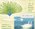 正版現(xiàn)貨 國際大獎科普繪本（平裝6冊） 羽毛不只是為了飛行 獲美國媽媽佳選擇獎金獎、美國月光童書獎金 曬單實拍圖