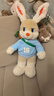 拾陸樓玩偶毛絨玩具十六樓雪兔子玩偶原創(chuàng  )可愛(ài)布娃娃公仔送生日禮物女孩 雪兔骨架版+藍色衛衣+包 曬單實(shí)拍圖