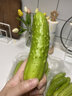采鮮惠 海陽(yáng)白玉黃瓜 水果小黃瓜生吃 新鮮蔬菜 帶刺小青瓜 4.5斤 10-16根 曬單實(shí)拍圖