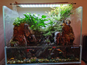 漁師傅魚(yú)缸水泵潛水泵抽水機家用小型過(guò)濾器循環(huán)噴泉低音魚(yú)池假山 AT302S 曬單實(shí)拍圖