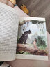 叢林故事 打動(dòng)孩子心靈的世界童話(huà) 兒童文學(xué)中小學(xué)課外童話(huà)故事書(shū) 曬單實(shí)拍圖