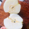 諸氏橙品 正宗玉露香梨 山西隰縣特產(chǎn)梨子 酥脆甜蜜 當季水果整箱中秋禮盒 精選10斤中果禮盒【18個(gè)裝】 曬單實(shí)拍圖