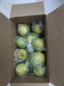 立始四川安岳青檸檬有籽青檸檬新鮮水果奶茶店可用特產(chǎn) 5斤大份家庭裝（奶茶店可選） 曬單實(shí)拍圖