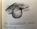 正版自選 夏洛的網(wǎng)注音版全套3冊 小學(xué)三四年級正版小學(xué)生拼音版一二兒童故事EB懷特三部曲 上海譯文出版社 夏洛的網(wǎng)注音版全套3冊 曬單實(shí)拍圖