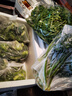 千牛優(yōu)福新鮮意大利芹250g 歐芹香芹法國香菜 巴西里香料 250g 曬單實拍圖
