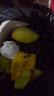 集南鲜   广西青芒 青皮青玉芒甄选新鲜热带芒果时令生鲜水果礼盒 整箱 含箱5斤优选大果（250g起） 实拍图