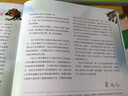 幼兒心智啟蒙繪本:固執的小獅子（3-6歲 心智教育 心理成長(cháng) 邏輯思維能力 健全完善幼兒人格） 曬單實(shí)拍圖