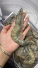 沃鮮匯沃鮮匯 精品蝦仁 200g/袋活剝去蝦線(xiàn) 蝦類(lèi) 精品蝦仁200g 曬單實(shí)拍圖