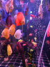 森森（SUNSUN）鱼缸潜水灯变色LED灯七彩照明水族箱造景灯龙鱼防水灯管 （三色可变）76cm双排灯珠13W（带开关） 实拍图