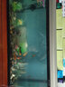 博宇（BOYU）免換水族箱過(guò)濾水泵燈led柜子一體仿生態(tài)金魚(yú)缸玻璃自循環(huán)1米客廳 鋁合金個(gè)性香檳色 豪華套餐 （廠(chǎng)家直發(fā)）（加熱棒造景隨機） 100長(cháng)30寬54高缸(增氧過(guò)濾)【景柜需另購】 曬單實(shí)拍圖