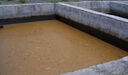 家可美（jiakemei）化糞池溶解劑糞便大便分解劑下水道旱廁堵塞微生物融化除臭降解劑 微生物化糞劑 1200g 1瓶 曬單實拍圖