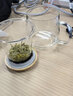 怡品堂 茶具 茶杯耐熱玻璃杯茶水分離杯帶把過(guò)濾喝茶杯男女士辦公室家用觀(guān)山水杯帶蓋 創(chuàng  )意加厚玻璃泡茶杯 雅致杯470ml 曬單實(shí)拍圖