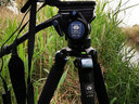 思銳（SIRUI） R2214X R3213X系列拍鳥(niǎo)三腳架攝像機三角架VH系列液壓云臺打鳥(niǎo)云臺 【R-3213X+VH-10腳架套裝】 曬單實(shí)拍圖