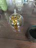 莫膩 玻璃茶壺 花茶壺小號玻璃泡茶壺加厚泡茶器茶壺公道杯功夫茶具 單壺300ML 曬單實拍圖