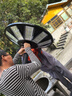 君慕太陽能照明燈戶外路燈農(nóng)村戶外院子庭院燈室外led公路照明燈超亮 【帶彎臂】10000w圓盤8面發(fā)光 曬單實拍圖