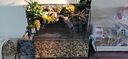 易萌 烏龜缸生態(tài)雨林飼養缸雙過(guò)濾免換水龜缸深淺水龜雨林造景水陸缸 雙過(guò)濾60cm套餐 曬單實(shí)拍圖