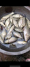 杰米仕 魚鉤子線雙鉤成品金袖鉤有無(wú)倒刺綁好仕掛鯽魚鯉魚漁具配件 3號(hào)鉤【子線0.6】 無(wú)刺金袖 曬單實(shí)拍圖
