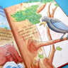 兒童繪本3-6歲幼兒園老師推薦閱讀幼兒園精裝硬殼硬皮繪本無拼音適合小班中班大班閱讀的a4幼兒繪本3-4-5–6-8歲故事書寶寶硬殼硬皮繪本幼兒故事繪本2-4-5-6歲 神奇的小種子等 硬殼繪本 努力奔 曬單實拍圖