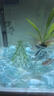 勝畫(huà)魚(yú)缸造景擺件冰藍琉璃水晶石水族箱斗魚(yú)缸創(chuàng  )意裝飾魚(yú)缸造景石 【冰藍】約7-10顆左右（10-15cm魚(yú)缸） 曬單實(shí)拍圖