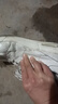 布柜者（BUGUIZHE）鞋子男韓國ins風(fēng)學(xué)院休閑小白鞋厚底氣墊運動(dòng)鞋男潮流百搭情侶鞋 9025-白月色 43 偏小建議拍大一碼 曬單實(shí)拍圖