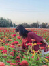 赫芙姿旗艦正品直營(yíng)店祛斑美白安瓶精華液維c色素溶解液華北制藥 煥活凝時(shí)面膜5g5/片 曬單實(shí)拍圖
