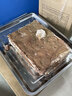 Olodo德國(guó)304不銹鋼壓肉模具盒商用豆腐模具 鹵肘子豬頭肉成型壓肉神器 壓肉模具【1KG款】贈(zèng)接汁盤+紗布 曬單實(shí)拍圖