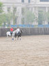 Cavassion馬術馬靴長筒靴障礙靴比賽靴牛皮馬靴男女長靴騎行騎馬靴8106100 黑色 36 曬單實拍圖