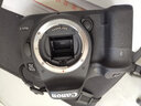 佳能（CANON）7D 7D2 mark II半畫(huà)福二手單反相機7D單反相機 佳能7D2 單機身 95新 曬單實(shí)拍圖
