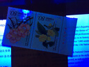 【博雅集藏】2002年編年郵票  2002年套票收藏 2002-3 珍稀花卉 套票 曬單實(shí)拍圖