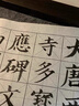 楷書(shū)專(zhuān)用兼毫毛筆初學(xué)者毛筆字專(zhuān)業(yè)套裝文房四寶尖毫中號兒童小學(xué)生練書(shū)法入門(mén)歐陽(yáng)修歐體中楷練字九成宮臨摹 楷書(shū)用筆-兼毫 小號【送筆筒】 曬單實(shí)拍圖