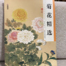 墨点美术 历代经典名画高清本 国画技法入门教程 工笔画菊花精选国画花鸟菊花牡丹临摹基础入门书籍 实拍图