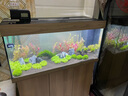 JUWEL德國黑鉆原裝進(jìn)口魚缸高端水族箱高清耐刮玻璃安靜簡潔套缸 RIO 180 100cm 進(jìn)口魚缸+柜子四色選一色（溝通好顏色下單 曬單實(shí)拍圖
