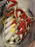 榮花施 仿真辣椒串農家樂(lè )飯店裝飾品蔬菜模型擺設擺件道具白蒜串掛件 5頭帶皮玉米【1串】 曬單實(shí)拍圖
