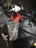magqoo仿真海洋动物模型玩具企鹅鲨鱼鲸鱼龙虾螃蟹海马蜗牛儿童教具 海洋14款套装 实拍图