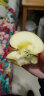 邓鲜森 【新疆直发】新疆冰糖心苹果新鲜水果红旗坡苹果10斤装大果整箱 （果径70-80mm）净重9斤 实拍图