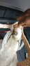 猎爪（LIEZHUA） 伸缩路亚竿套装超轻便携振出式超硬钓鱼竿远投竿海竿抛竿鱼竿 直柄单竿 2.1米 实拍图