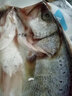 一米漁開背海鱸魚500g*3條鱸魚烤魚半成品新鮮冷凍腌制鱸魚鲞方便預(yù)制菜 曬單實拍圖