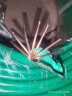 正泰（CHNT）电线电缆电源线铜芯家用电线阻燃单股铜线电线10平方100米绿色 实拍图