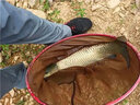 龍王恨魚(yú)餌青龍霸道顆粒釣魚(yú)餌黑坑野釣皮筋顆粒釣餌青草魚(yú)鯉魚(yú)顆粒窩料 龍門(mén)霸道-專(zhuān)攻鯉草【1000克/袋】 曬單實(shí)拍圖