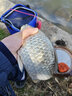 黃金眼大物鰱鳙魚(yú)漂加粗醒目浮標草魚(yú)青魚(yú)鯉魚(yú)浮漂 三代碳素漂T-20（三目加粗尾） 3號一支 曬單實(shí)拍圖