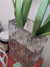 盛世泰堡玻璃花瓶透明水培容器富贵竹百合玫瑰客厅桌面摆件卢索透明款 实拍图