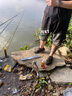 蒙太一 甲魚狂提 甲魚黑魚鯰魚誘魚劑 鱉類窩釣魚小藥 餌料野釣 買2囎1【共3瓶】更多客戶選擇 曬單實拍圖
